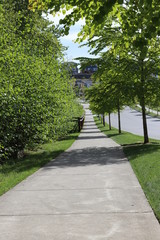 Obraz premium path in park