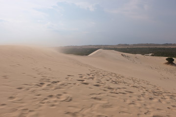 Fototapeta na wymiar beautiful white sand dune on sunset background