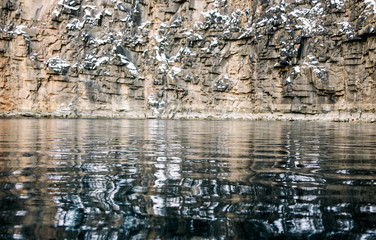 Fort Dickerson Quarry in Knoxville Tennessee