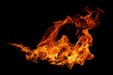 movement of fire flames isolated on black background.