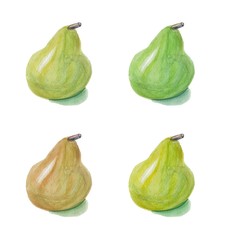 Beautiful watercolor illustration with watercolor pear for textile design