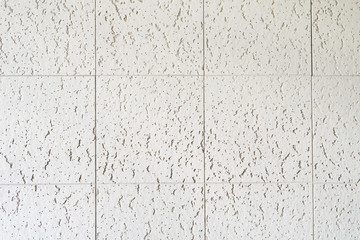 Acoustic Ceiling Tiles