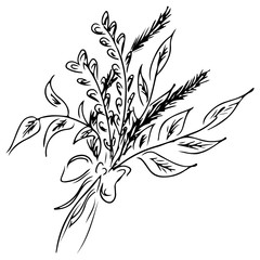 Lavender sketch bouquet isolated on white background. Aromatherapy series. Hand drawn  illustration. Doodle, line art.