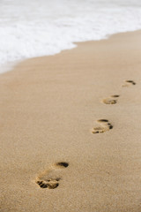 Fototapeta na wymiar Footprints on the sandy beach of the sea