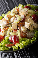 Sonoma chicken salad with celery, pecans and grapes close-up on a plate on the table. vertical