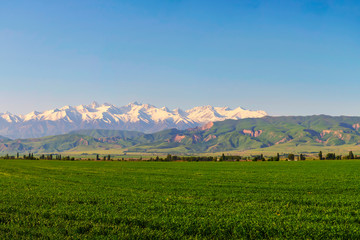 Fototapeta na wymiar Panoramic view of the idyllic mountain landscape. Fresh green meadows at sunrise in springtime, mountains lit by the rising sun