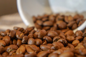Coffee Beans Scattered from a fallen pot.  Rich brown and golden beans with smooth light.