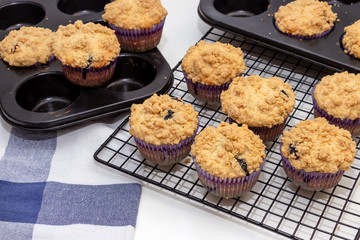 Blueberry Apple Oats streusel Muffins on cooling rack. Selective focus. Copy space for text. Healthy breakfast concept