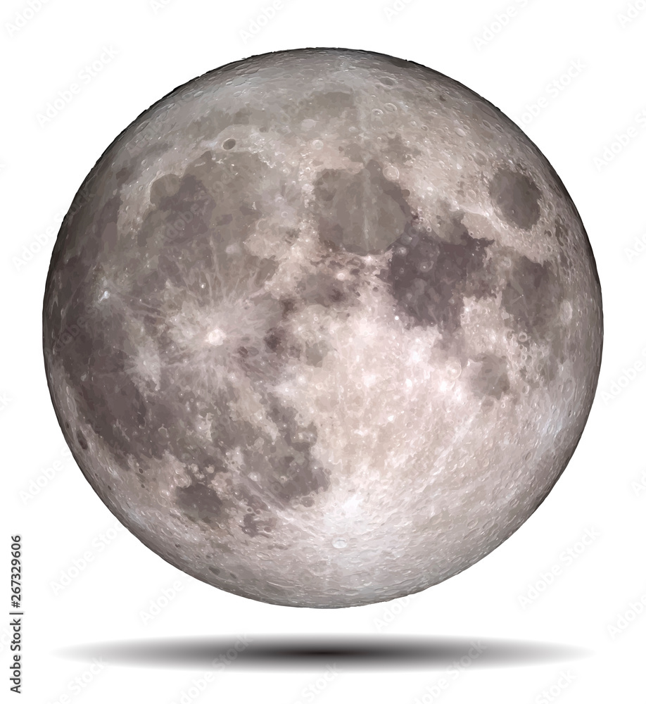 Poster full moon isolated on white background and shadow, eps vector illustration. elements of this image f