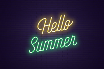 Fototapeta na wymiar Neon lettering of Hello Summer. Glowing text
