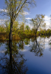 643-02 Portage River Reflections