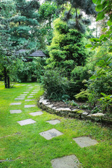 Path in the garden.