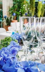 Empty glasses before party and decorations made of blue hortensia (hydrangea) flowers.