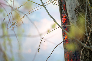 Fototapety na wymiar - Fototapeta24.pl