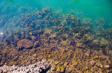 Calm Rocks