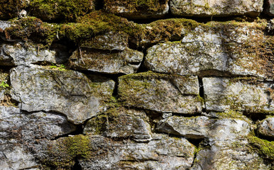 Mossy Stone Wall at Frozen Head State Park in Central Tennessee