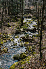 Frozen Head State Park in Central Tennessee
