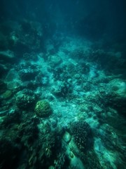 Aqua world 