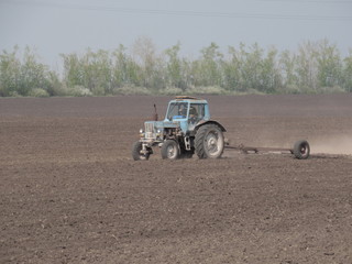 Obraz premium Landscape in the forest in the afternoon.Road.Trees.Grass