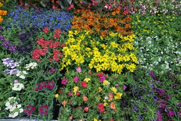 Feria de la primavera de Biescas España