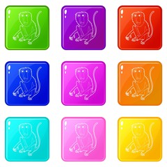 Sitting monkey icons set 9 color collection isolated on white for any design