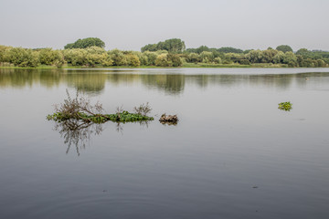 Pateira de Fermentelos, Portugal	