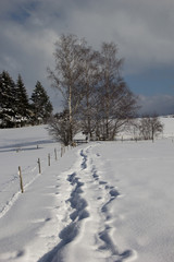 Obraz premium verschneite winterliche Landschaft im Allgäu