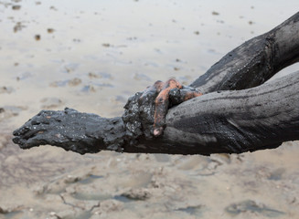 Smearing black healing mud on the arm.