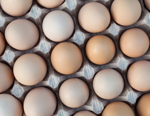 Eggs in the egg tray
