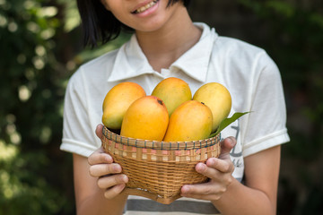 Asian girl holding a yellow ripe mango basket