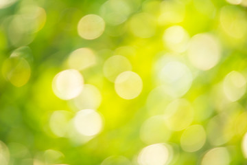 green nature background, blurred bokeh concept