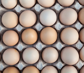 Eggs in the egg tray