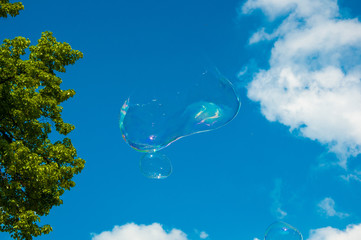 one round soap bubble on the blue sky, with trees in the background. Soap bubble caught just before the break