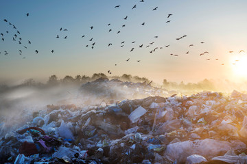 Sunrise Sun above the ocean of garbage
