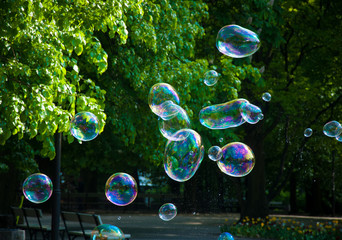 Rainbow bubbles from the bubble blower in the park