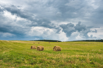 Rural landscape field meadow with hay stacks after harvest in Belarus