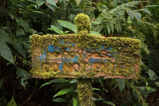 Information board in Bosque Nuboso NP near Santa Elena in Costa Rica