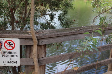 St. Peters Billabong, adelaide, australia