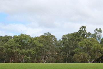 Obraz premium park near torrens river, adelaide, australia