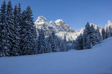 Fototapeta na wymiar verschneite Gebirgslandschaft in den Alpen