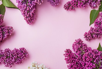 Brunches of lilac flowers on the pink background