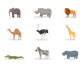 Exotic wild animals flat vector illustration set