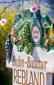 Baden-Baden_Rebland_Fr&uuml;hling_01