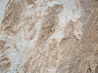Wood bark texture background