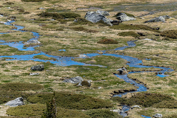 Landscape of high mountain streams in spring, coming from the thaw. Natural Park of the Sierra de Guadarrama, Madrid, Spain
