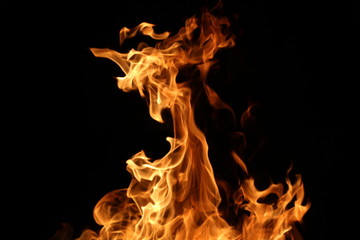 Fototapeta premium Closeup of a large fire. Wooden planks to the fire. The fire is lit in the night.