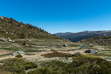 Fototapeta na wymiar Landscape of high mountain in spring. Natural Park of the Sierra de Guadarrama, Madrid, Spain