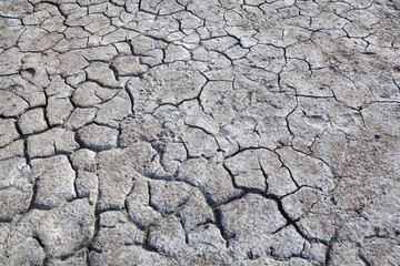 Cracked dry ground