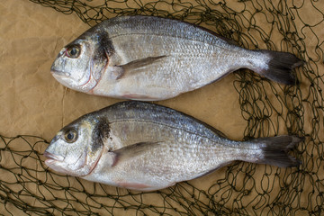 Raw fish dorado with fishing net on crumpled rough paper. View from above.