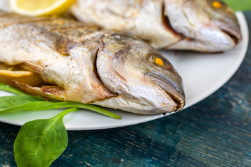 Cooked dorado fish with lemon and herbs on a plate. On dark wood background.